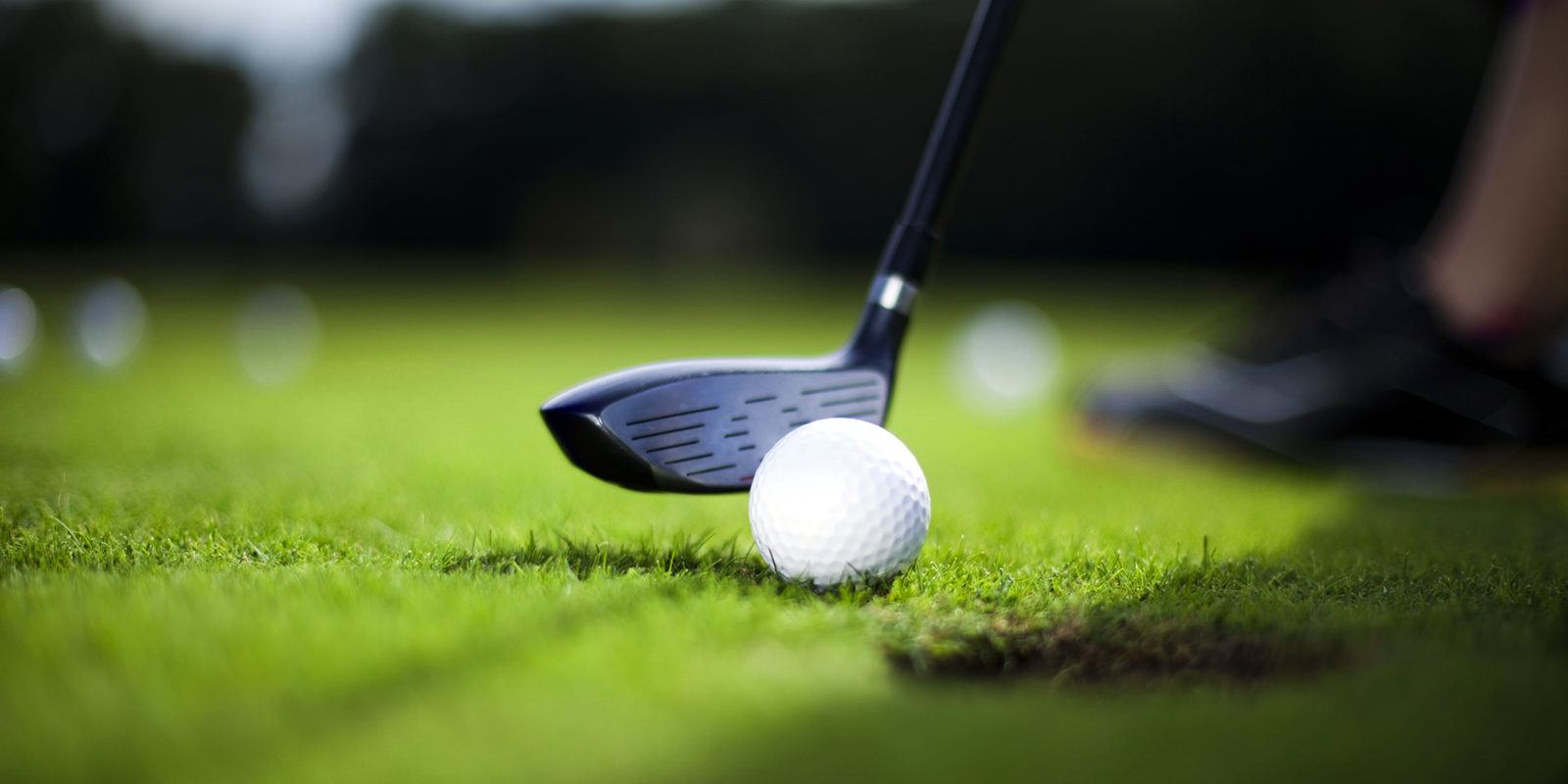 Golf outdoor driving range indoor simulator